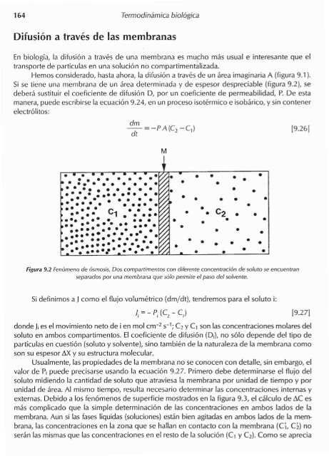 Procesos de transporte