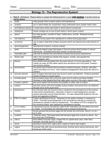 Biology 12 - The Reproductive System!