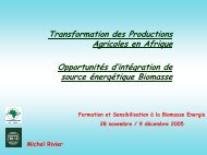 Application de la biomasse à la transformation des produits ... - bepita