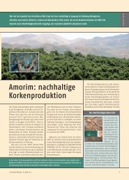 amorim, dossier3 - Amorim Cork Deutschland