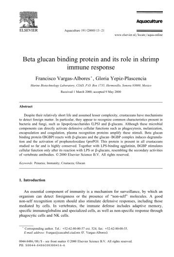 Beta glucan binding protein and its role in shrimp immune response