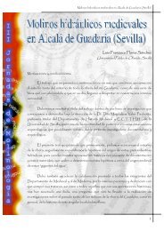 Molinos hidráulicos medievales en Alcalá de Guadaría, (Sevilla).