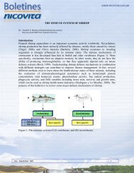 THE IMMUNE SYSTEM OF SHRIMP Introduction Penaeid ... - Nicovita