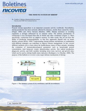 THE IMMUNE SYSTEM OF SHRIMP Introduction Penaeid ... - Nicovita