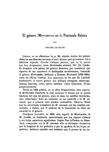 El género Moricandiaen la Península Ibérica - Real Jardín Botánico