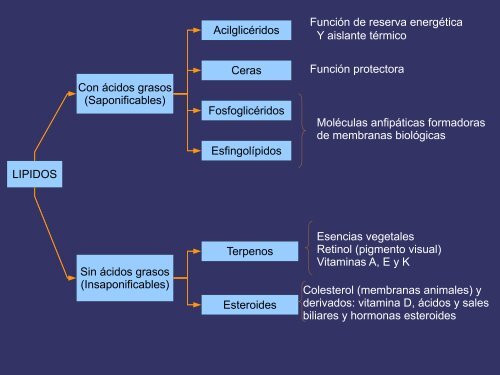 LIPIDOS Con ácidos grasos (Saponificables) Sin ácidos grasos ...