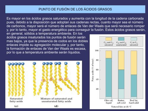 LIPIDOS Con ácidos grasos (Saponificables) Sin ácidos grasos ...