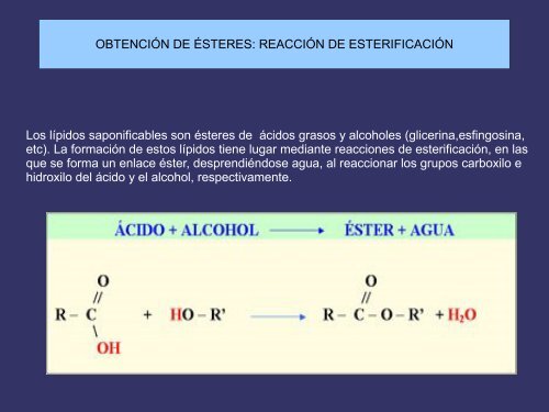 LIPIDOS Con ácidos grasos (Saponificables) Sin ácidos grasos ...