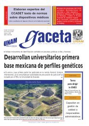 Versión PDF - UNAM