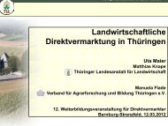 Landwirtschaftliche Direktvermarktung in Thüringen Förderung I