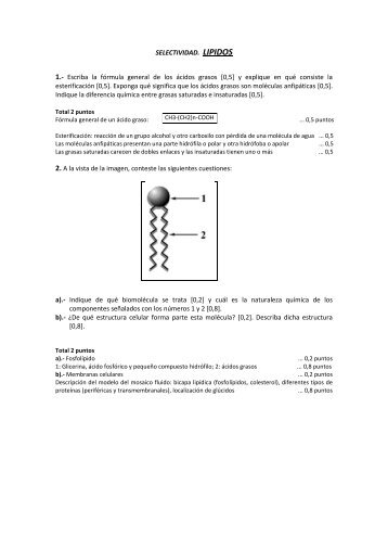 SELECTIVIDAD. LIPIDOS 1.- Escriba la fórmula general de los ...