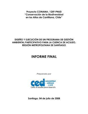 INFORME FINAL - Municipalidad de Paine