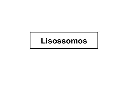 Lisossomos - Departamento de Biologia - UFC