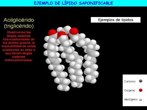 Lípidos - ies "poeta claudio rodríguez"