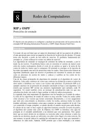 RIP y OSPF - Redes de Computadores