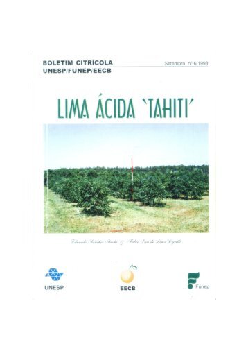 Lima Ácida 'Tahiti' - Estação Experimental de Citricultura de ...