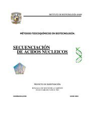 secuenciación de ácidos nucleicos - Instituto de Biotecnología - UNAM