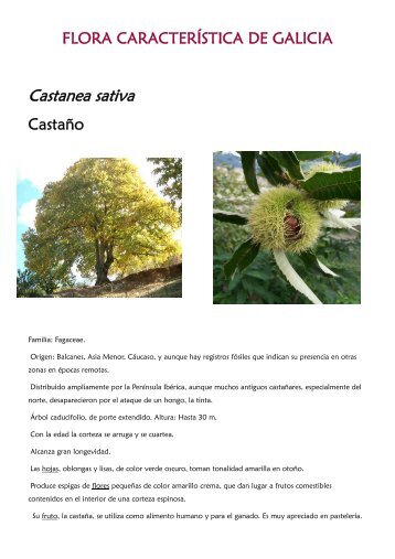 Flora - Xunta de Galicia