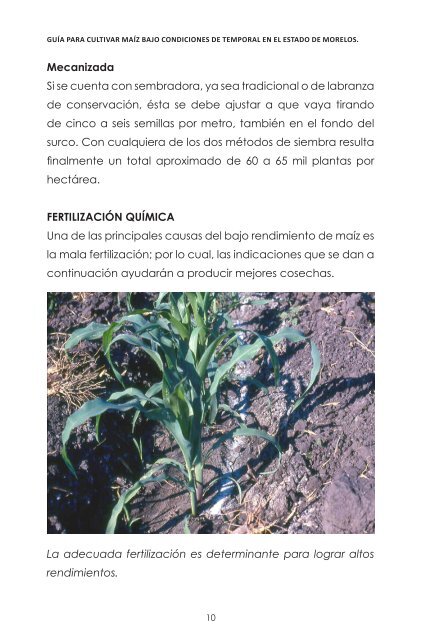 Guía para cultivar maíz bajo condiciones de temporal en el estado ...