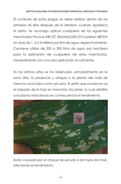 Guía para cultivar maíz bajo condiciones de temporal en el estado ...