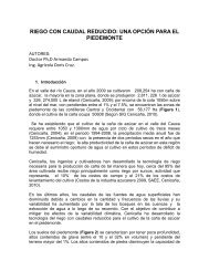 RIEGO CON CAUDAL REDUCIDO: UNA OPCIÓN PARA EL ...