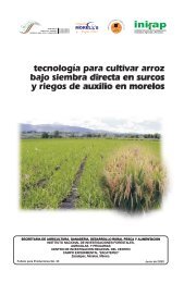 Tecnología Para Cultivar Arroz Bajo Siembra Directa En Surcos