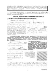 ESTRUCTURAS SEDIMENTARIAS DEPOSICIONALES