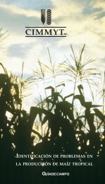 identificación de problemas en la producción de maíz tropical
