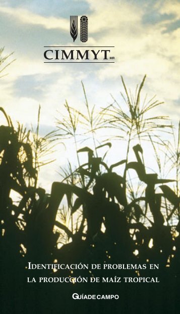 identificación de problemas en la producción de maíz tropical