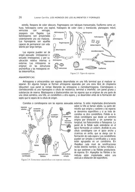 2. ESTRUCTURAS FÚNGICAS