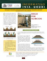 Informativo INIA Ururi No. 18 - Riego por surcos - Platina - INIA