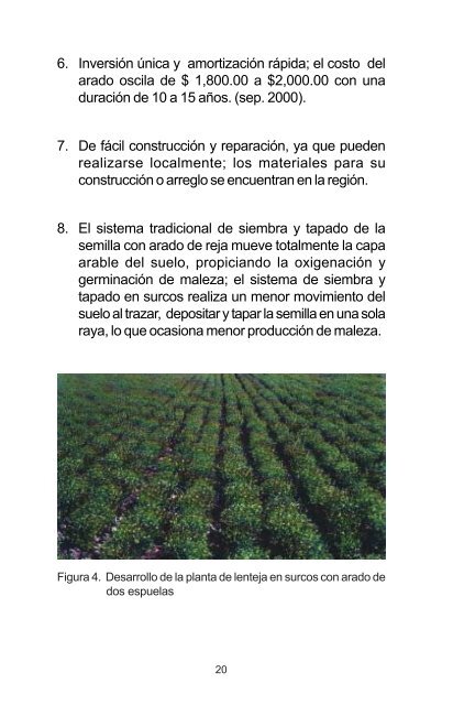 GUÍA PARA CULTIVAR LENTEJA EN SURCO CON ARADO DE ...