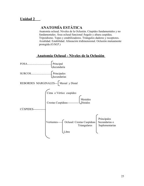 que es cresta en anatomia que es cresta en anatomia