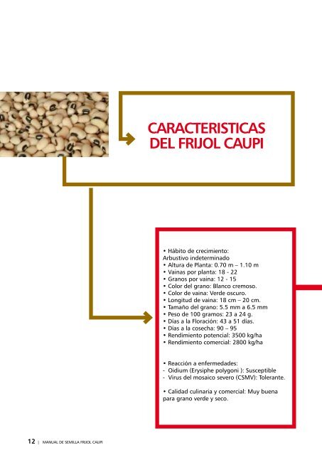 FRIJOL CAUPI - Aula Mass