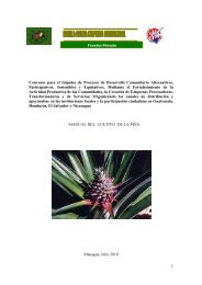manual del cultivo de la piña - Escuela Obrera Campesina ...