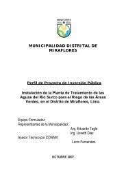 05 PIP Miraflores.pdf - Ministerio del Ambiente