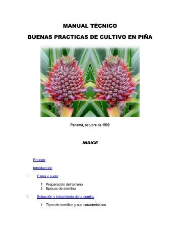 manual técnico buenas practicas de cultivo en piña - oirsa
