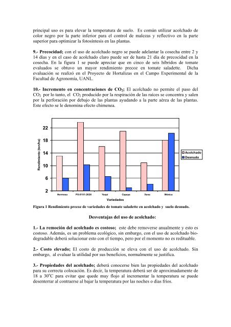 ACOLCHADO EN HORTALIZAS - Nuevo León