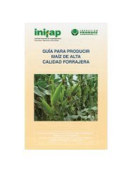 folleto productores 33 maiz calidad.pdf - inifap - aguascalientes