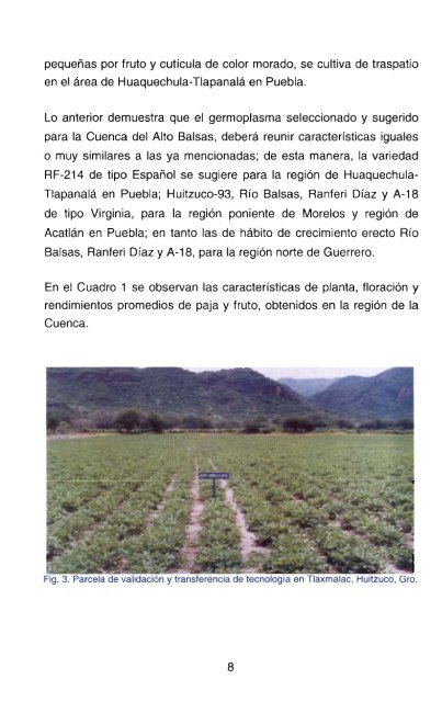 Guía Para Cultivar Cacahuate De Temporal En La ... - COFUPRO