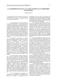 La geomorfología de la Llanura pampeana - Universidad Nacional ...