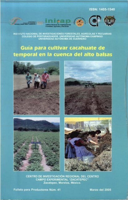 Guía para cultivar cacahuate de temporal en la cuenca del alto balsas