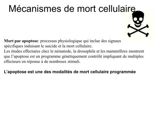 COURS APOPTOSE X. Caubit