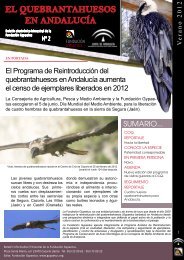 EL QUEBRANTAHUESOS EN ANDALUCÍA - Fundación Gypaetus