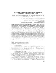 0606 - Talmaciu N _Romania_ - 2 - OK.pdf