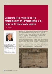 Denominación y títulos de los profesionales de la veterinaria a lo ...
