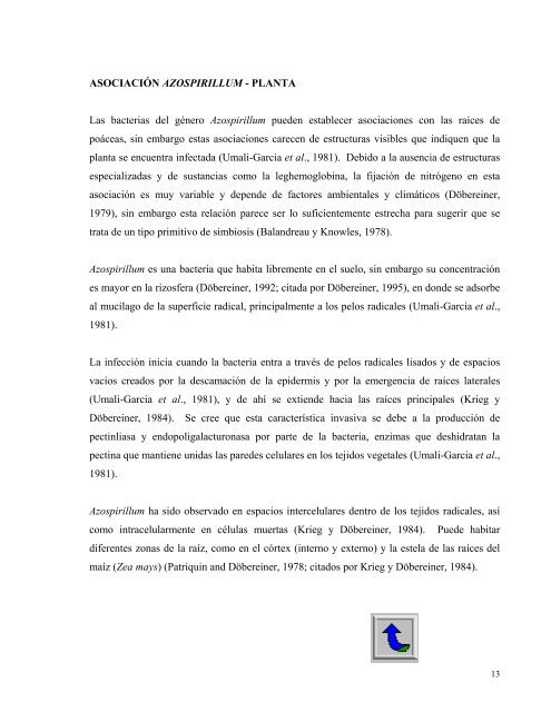 Informe práctica final - LISTA PHRONESIS.pdf - Tecnológico de ...