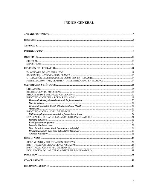 Informe práctica final - LISTA PHRONESIS.pdf - Tecnológico de ...