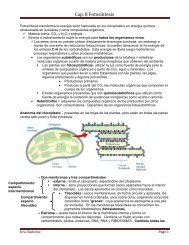 Cap. 8 Fotosíntesis - biol3101upr-rp-rr