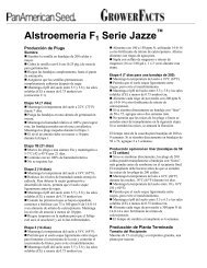 Alstroemeria F1 Serie Jazze - Pan American Seed Company